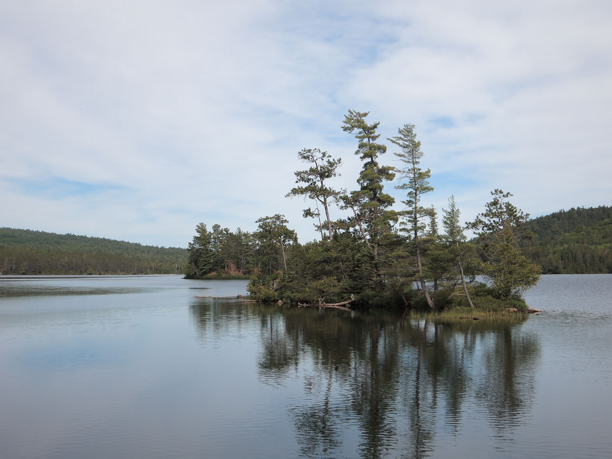 Small island in Laurel Lake in Algonquin Park