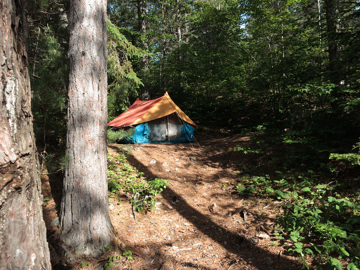 Campsite on Laurel Lake in Algonquin Park