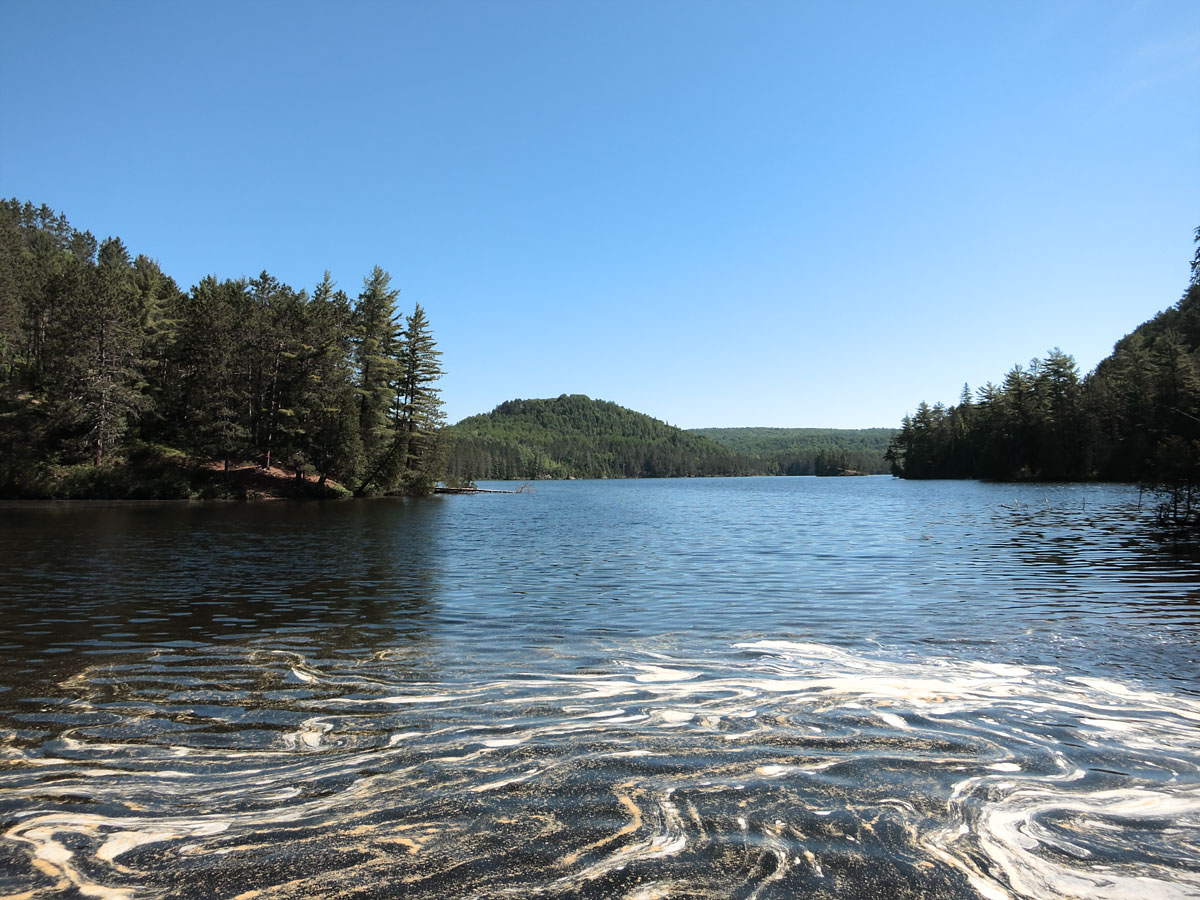 Looking back at Laurel Lake from the portage to Little Cauchon Lake in Algonquin Park