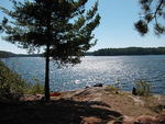 View from Campsite at the north end of Catfish Lake in Algonquin Park