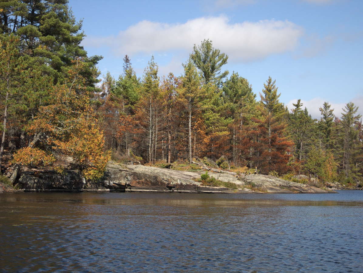 Forest fire signs on the northwestern shore of High Falls Lake in October 2016