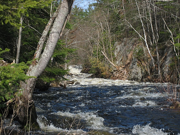 Cached Rapids on the Barron River in Algonquin Park