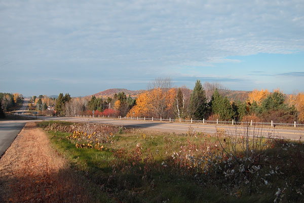 fall colours at Wilno