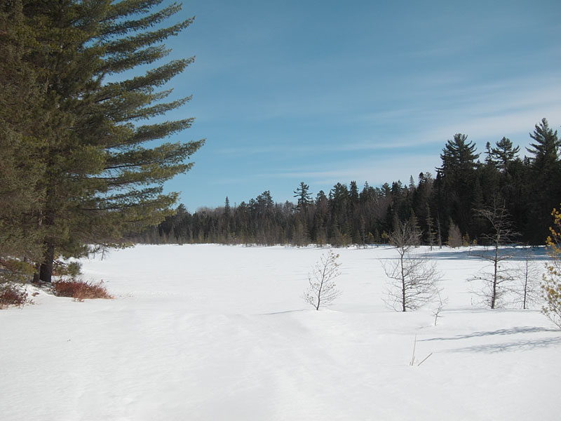 Maunsell Lake in the Petawawa Research Forest