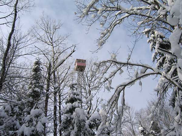 Malone Fire Tower in the Petawawa Research Forest