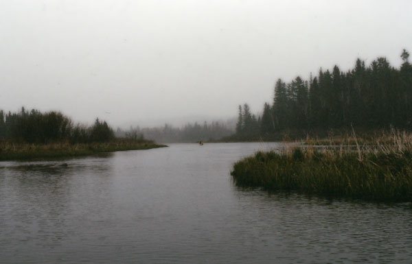 marsh on Nipissing River