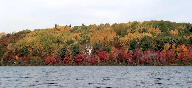 fall colors on shore of Grand Lake