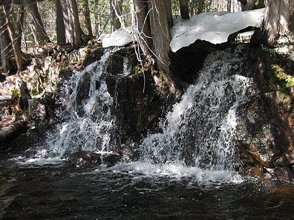 Cache Rapids on Barron River in Algonquin Park