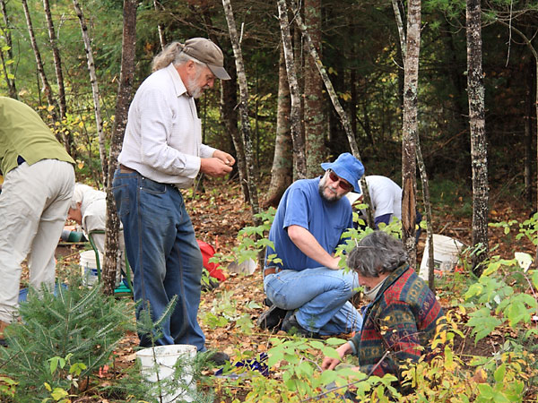 A photo from the public archaeology day at Basin Depot Algonquin Park  2009 October 03