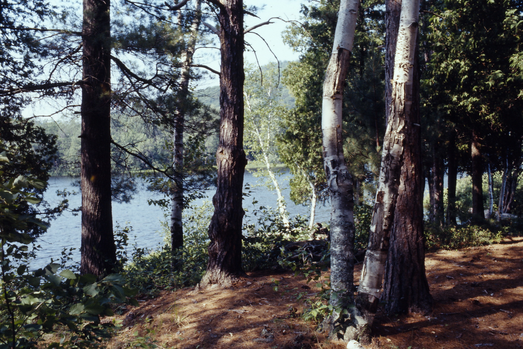 canoe trip Whitson Lake 1973 July 0106