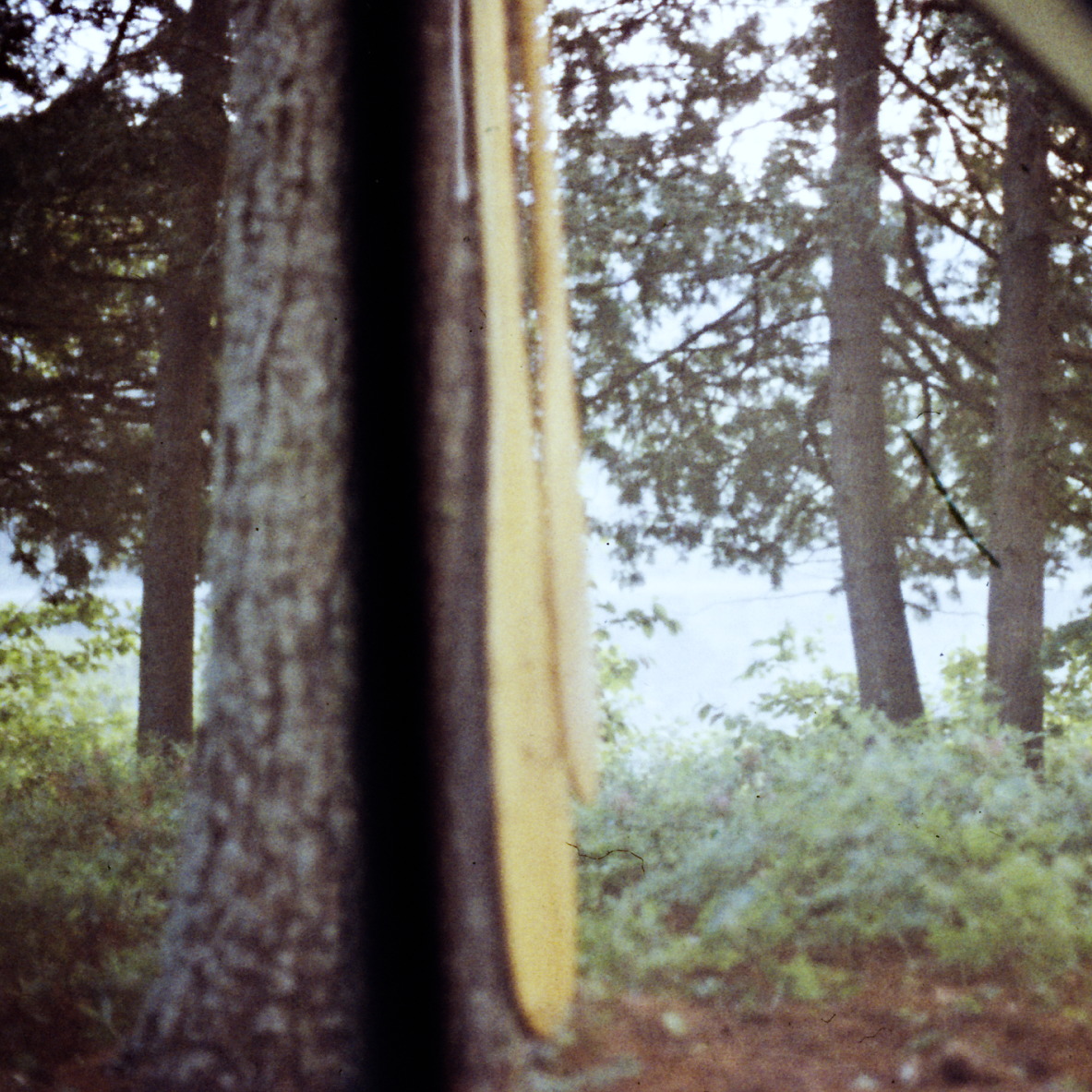 canoe trip Whitson Lake 1973 July 0106