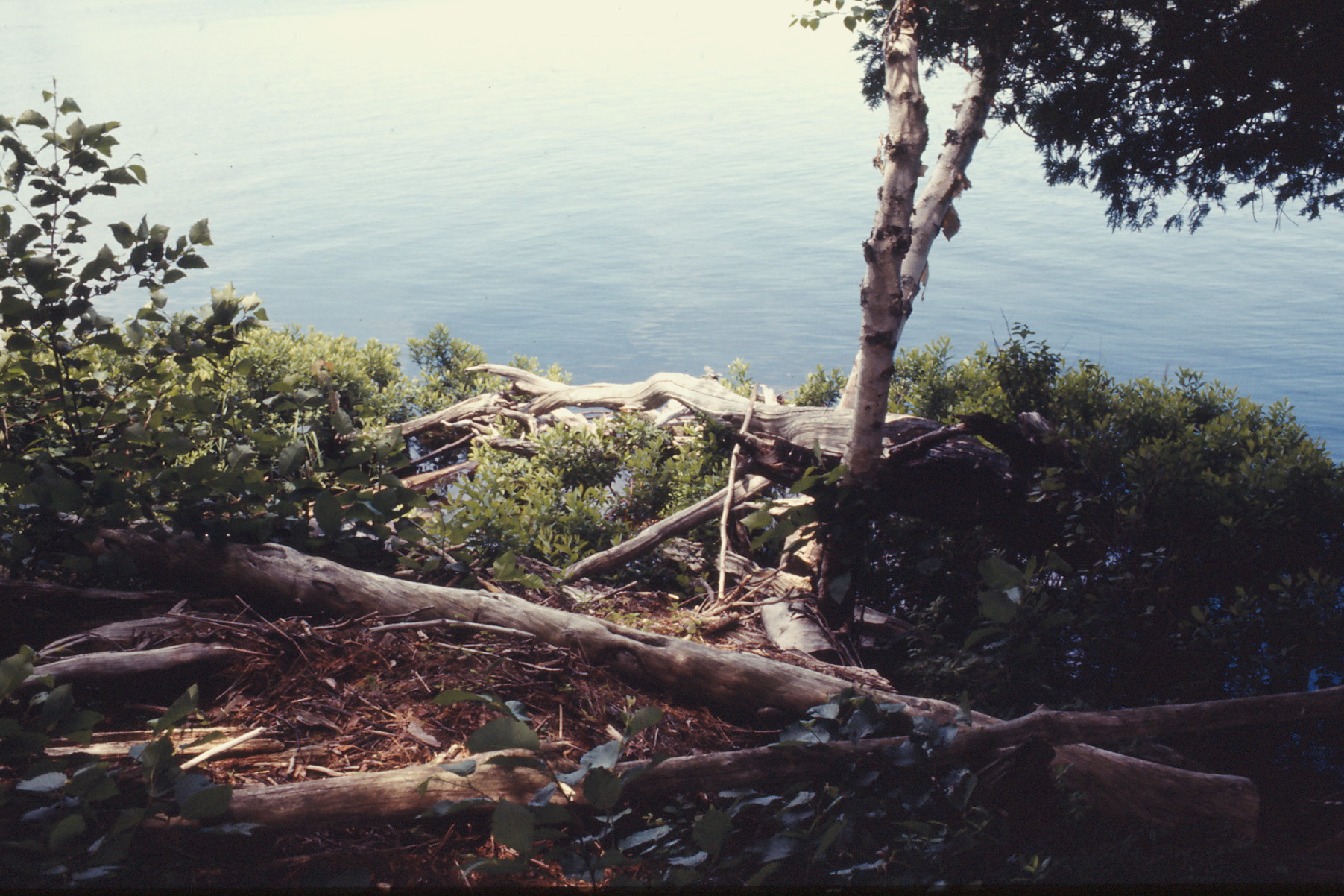 canoe trip Whitson Lake 1973 July 0106