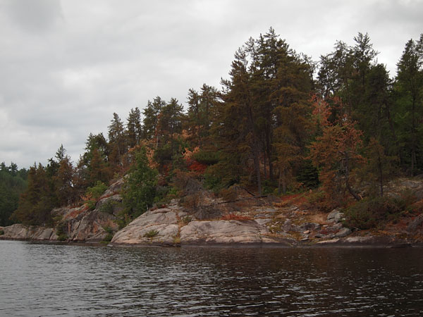 drought in the vicinity of Achray on Grand Lake in Algonquin Park