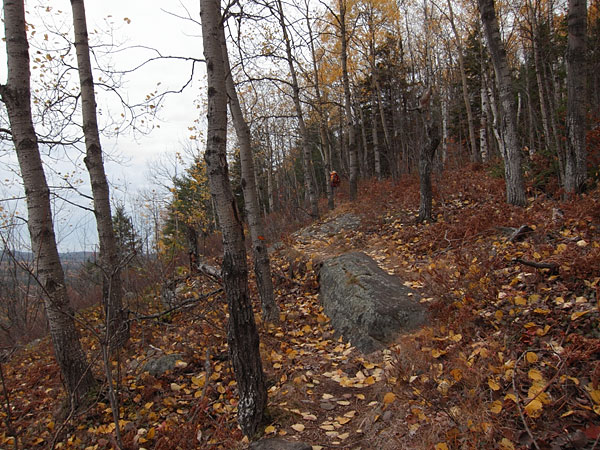 The trail up to the Costello Creek Lookout in Algonquin Park