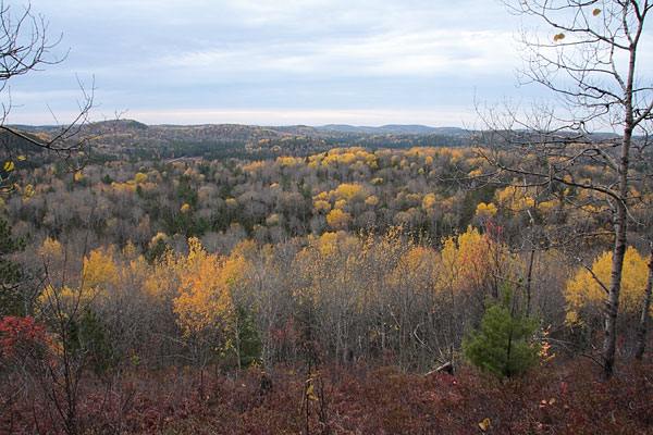 View from the Costello Creek Lookout in Algonquin Park