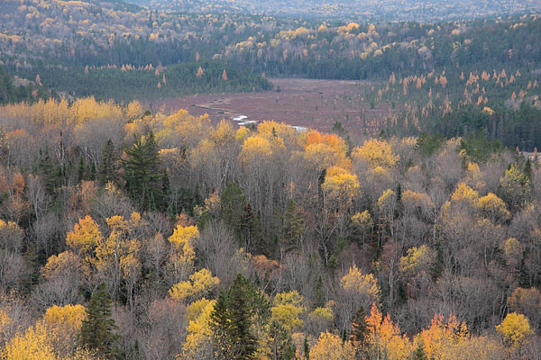 Hermit Creek in Algonquin Park as seen from the Costello Creek lookout