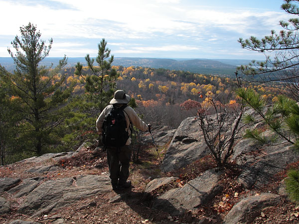 Traveler above the trees at the south lookout in Algonquin Park
