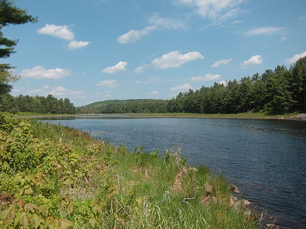 the Pine River downstream of Lower Pine Lake