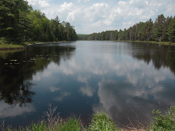 The Pine River at the Algonquin Park boundary