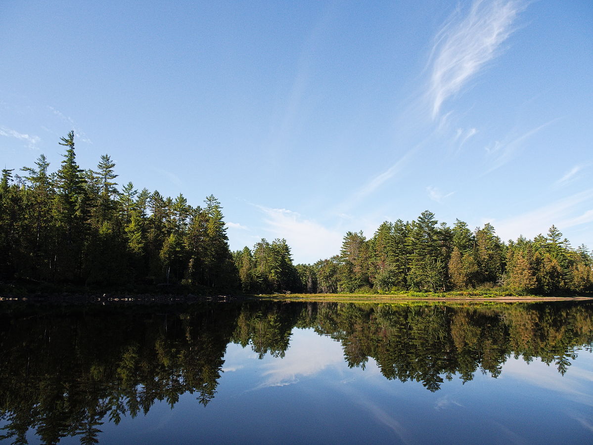 The mouth of Spoor Creek on McManus Lake in Algonquin Park