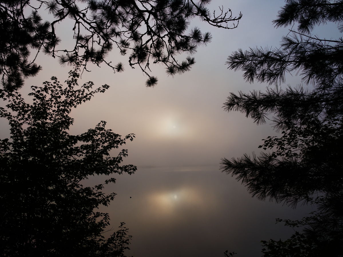 Another misty morning on Whitson Lake in Algonquin Park