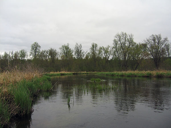 Bonnechere River in the vicinity of the Algonquin Park boundary