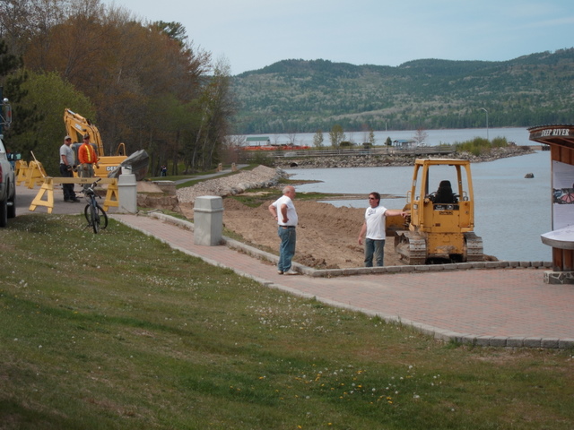 removal of white pines at Centennial Rock in Deep River