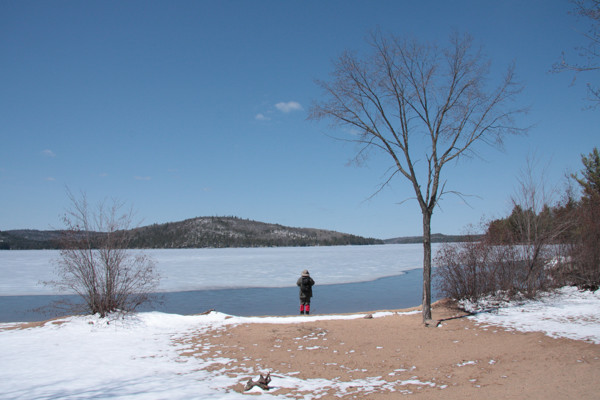 Beach near Jackpine site on Grand Lake in Algonquin Park