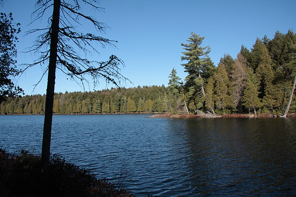 Blackfox Lake in Algonquin Park