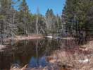 from a gallery of photos documenting an early spring drive to lake travers in algonquin park via the achray road  2013 april 17