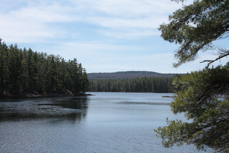 Early spring along the Berm Lake Trail in eastern Algonquin Park