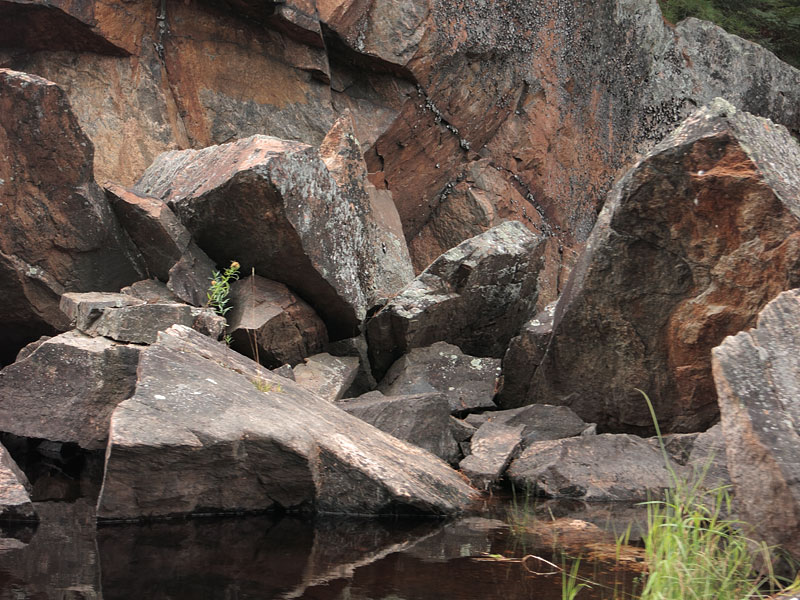 Catfish Lake in Algonquin Park