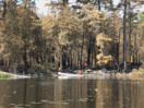 forest fire on High Falls Lake  2019 Aug 18