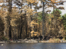 forest fire on High Falls Lake  2019 Aug 18
