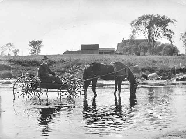 William McElroy watering his horse (and buggy) in the Jock River