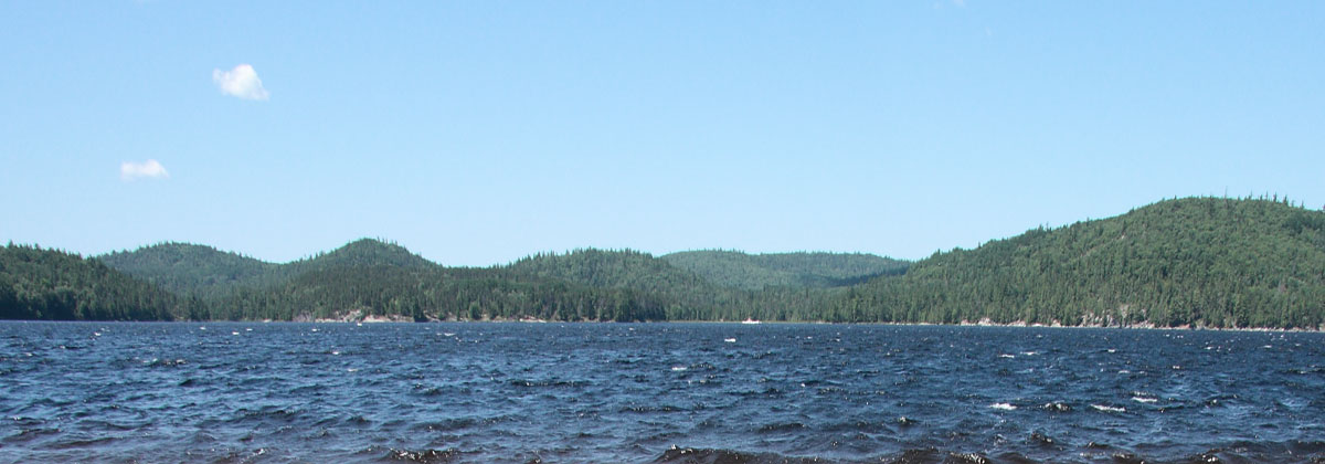 Carcajou Bay on Grand Lake in Algonquin Park stretched vertically by 35