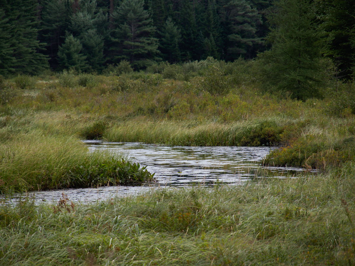 Young Creek at Racehorse Road in the Petawawa Research Forest
