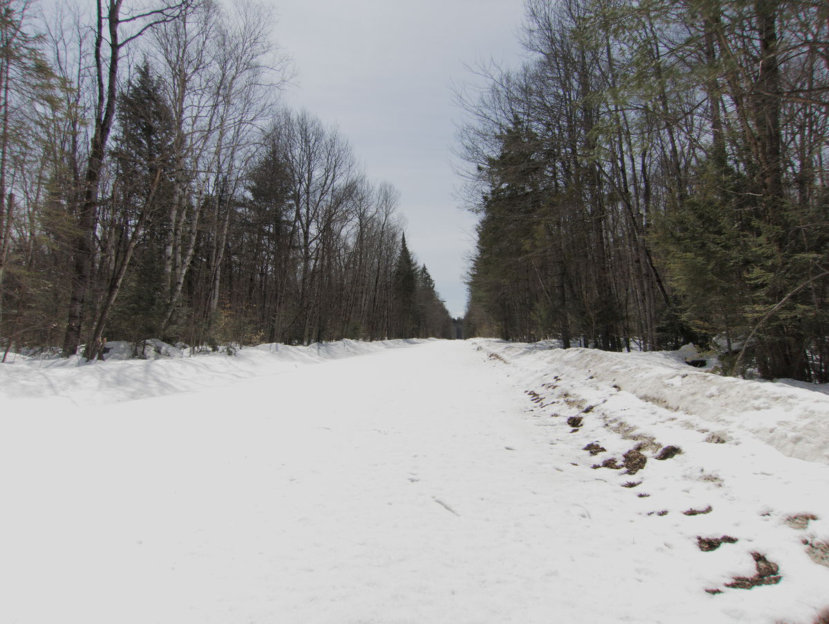 Early Spring drive to Lake Travers in Algonquin Park