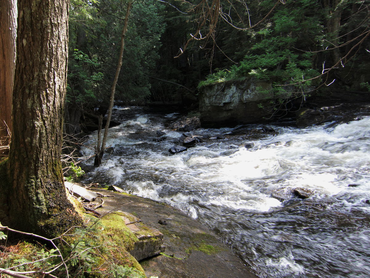 Barron River below Woodland Waterfall
