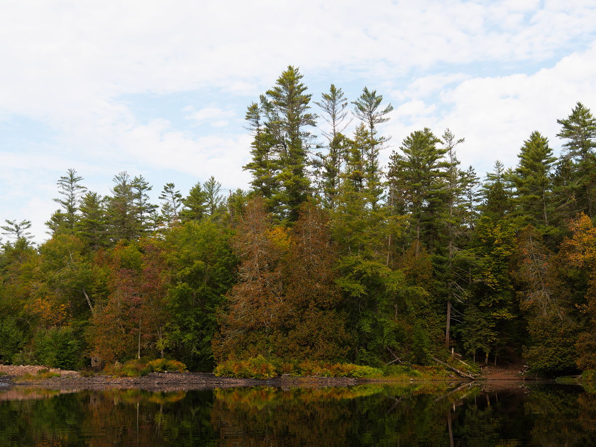 Low water and fall colours along the Barron River in Algonquin Park