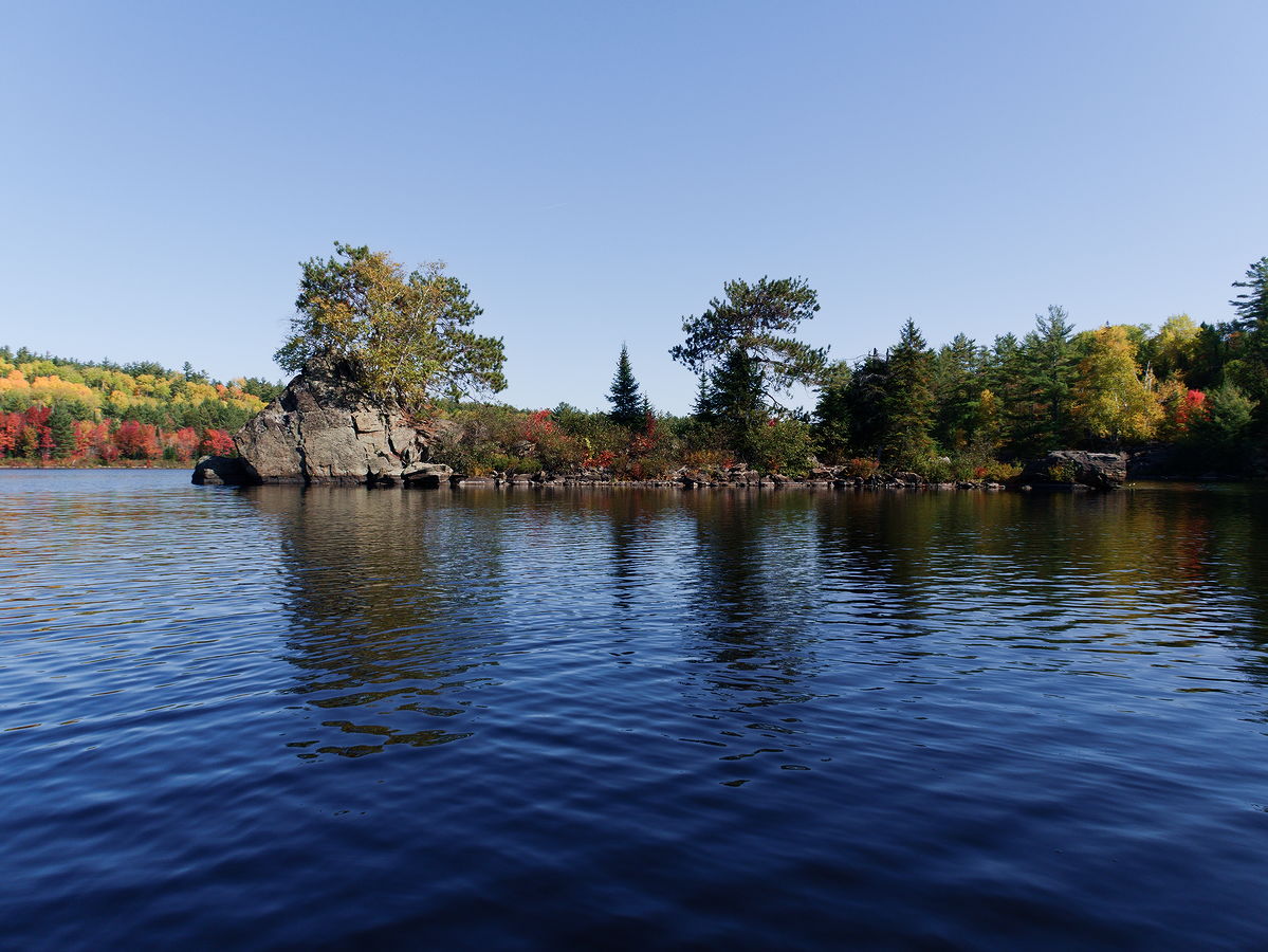 Fall Colours on Grand Lake in Algonquin Park