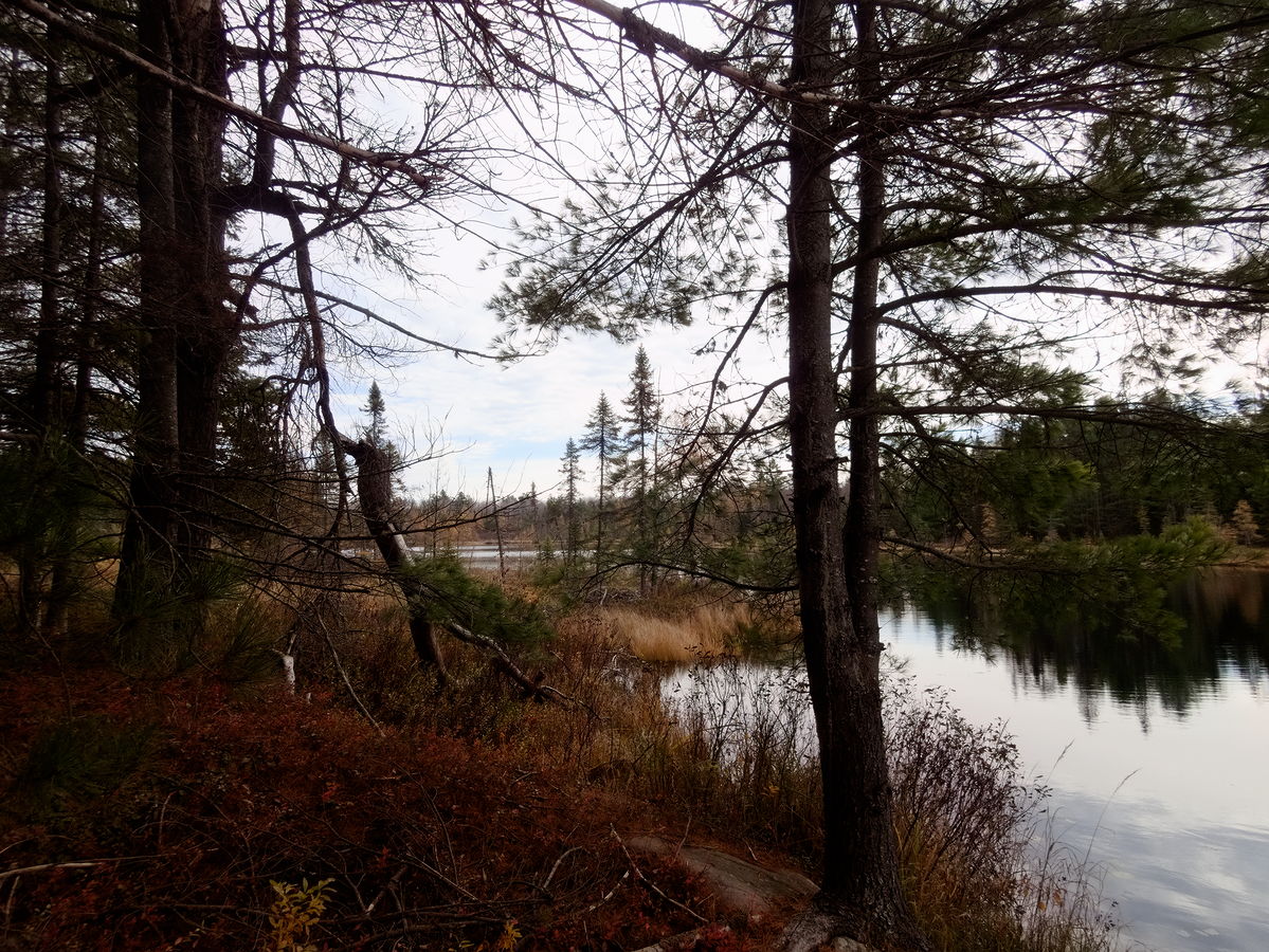 Maunsell Lake in the Petawawa Research Forest