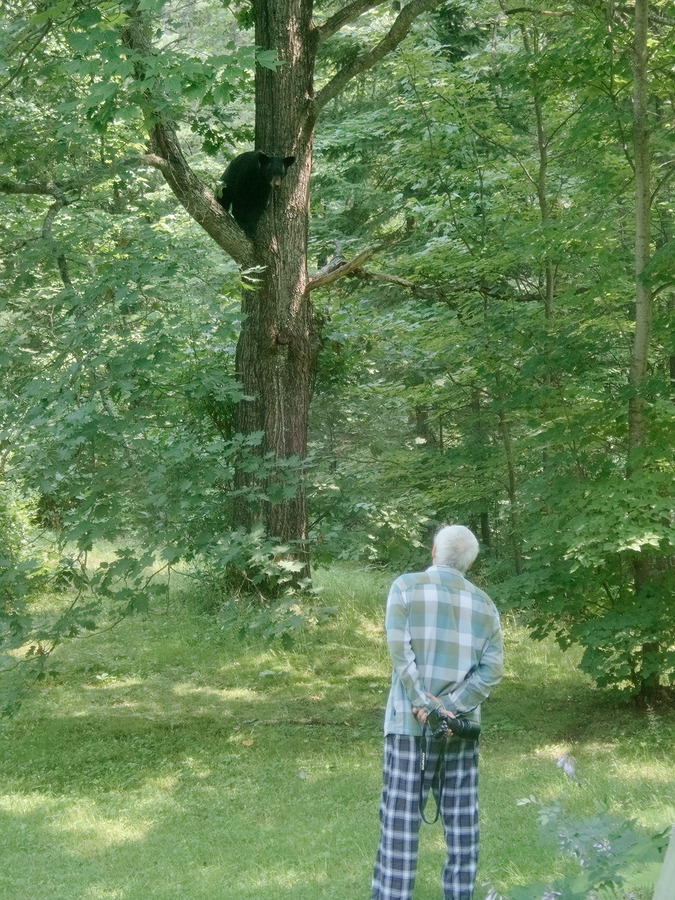 Bob in conversation with a black bear in our backyard