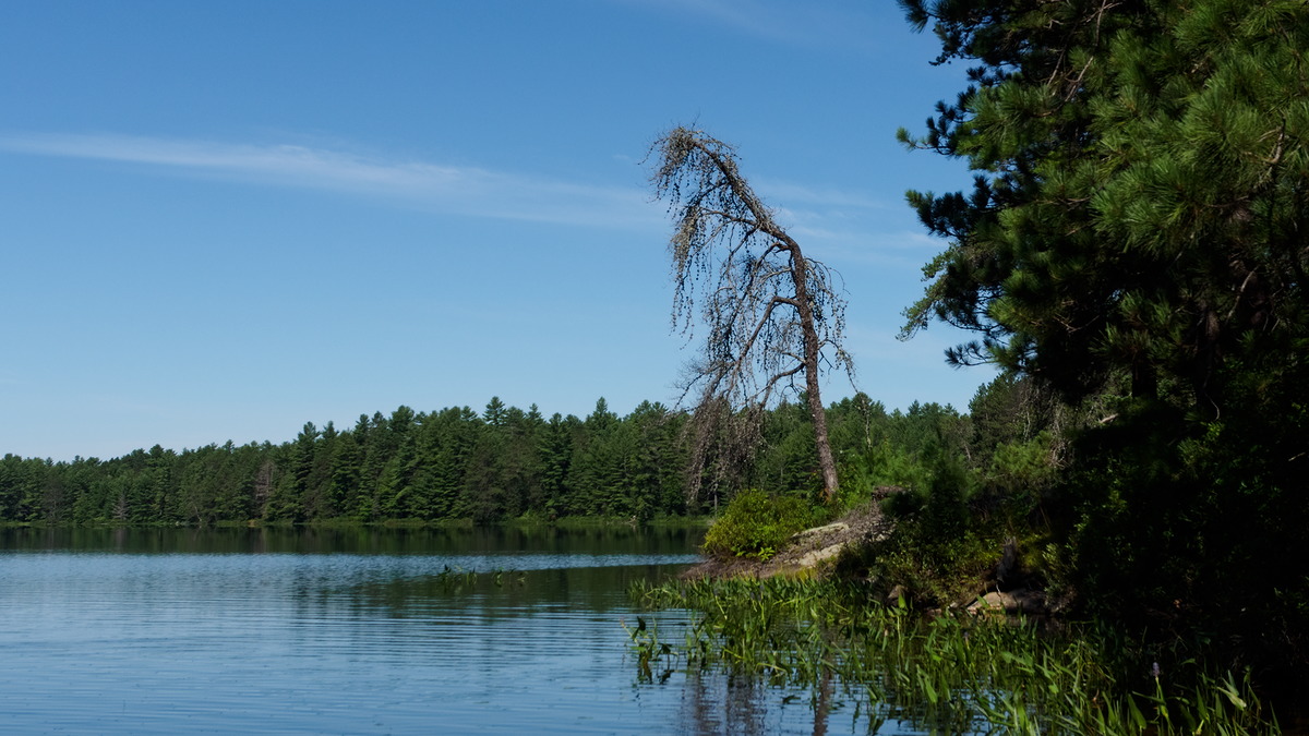 A day trip to Wylie Lake in the Petawawa Research Forest