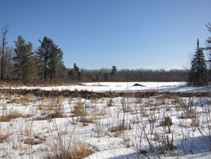 Early spring drive to Lake Travers in Algonquin Park