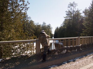 Early spring drive to Lake Travers in Algonquin Park