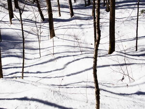 Early spring drive to Lake Travers in Algonquin Park