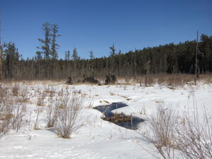 Early spring drive to Lake Travers in Algonquin Park