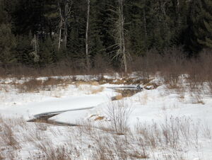 Early spring drive to Lake Travers in Algonquin Park