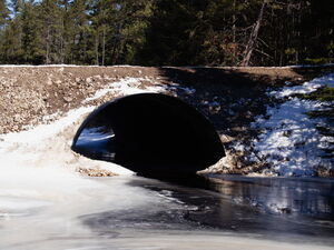 Early spring drive to Lake Travers in Algonquin Park